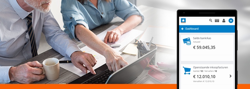 SnelStart_administraties_controleren