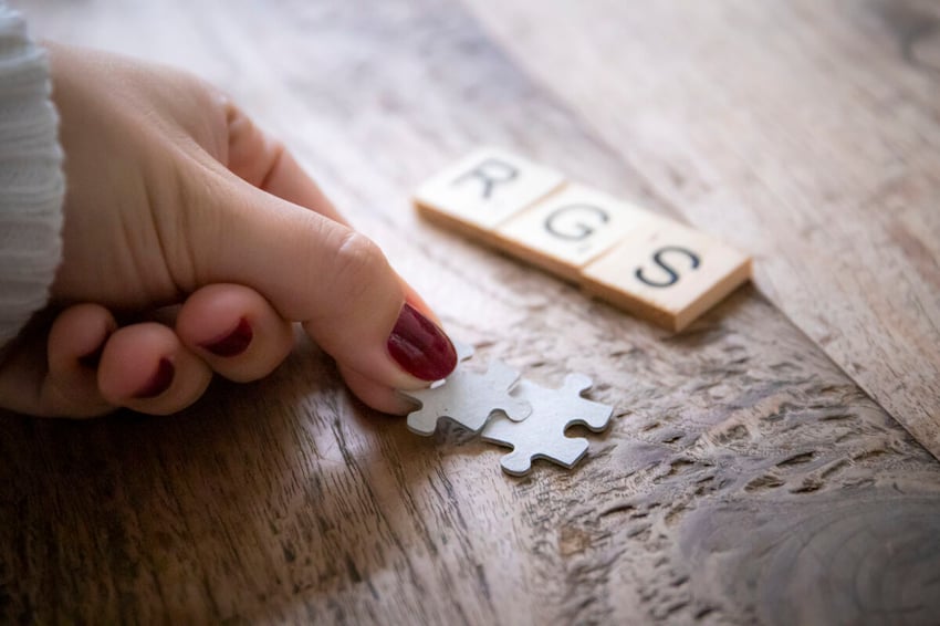 rgs-snelstart