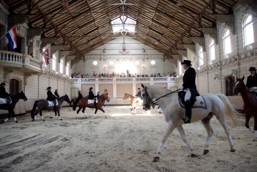 manege-snelstart